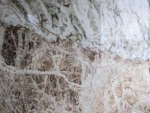 Venaria Reale close up slab